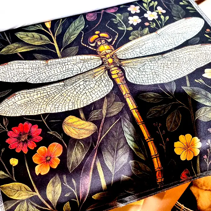 Demnächst bei uns neue Kissen !