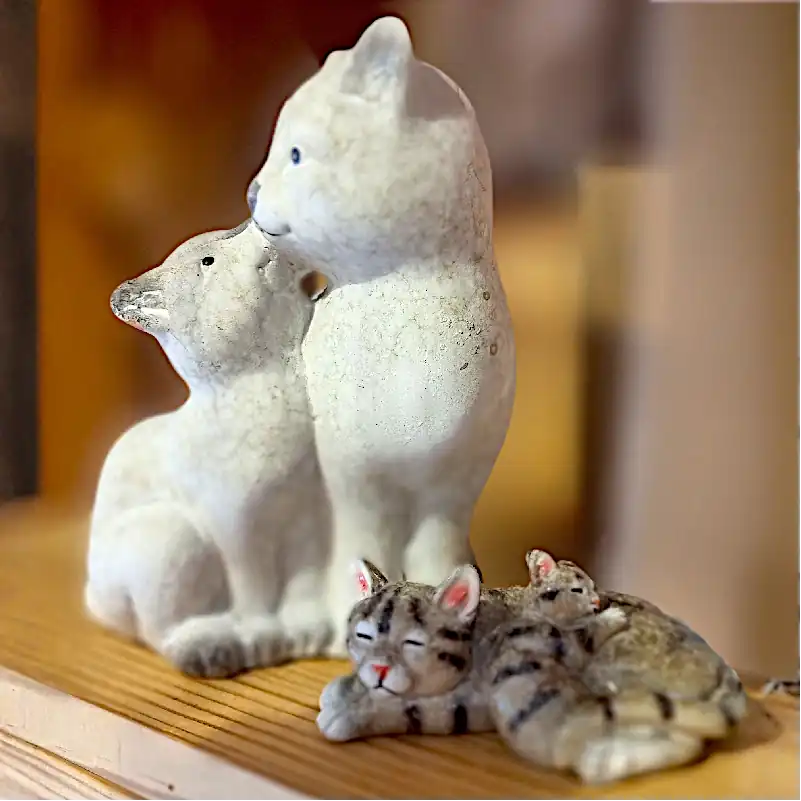 Wohnen-Katzen